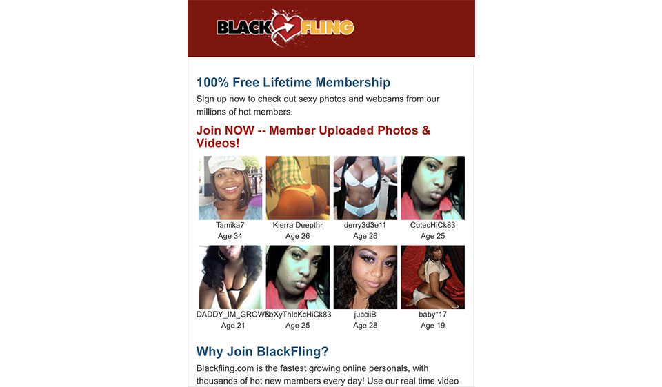 Members Structure and Activities