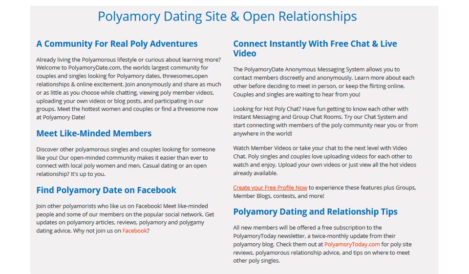 Polyamory Date Review