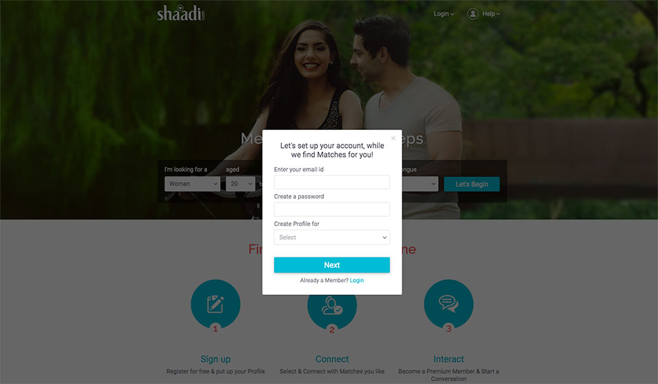 Profile Interface
